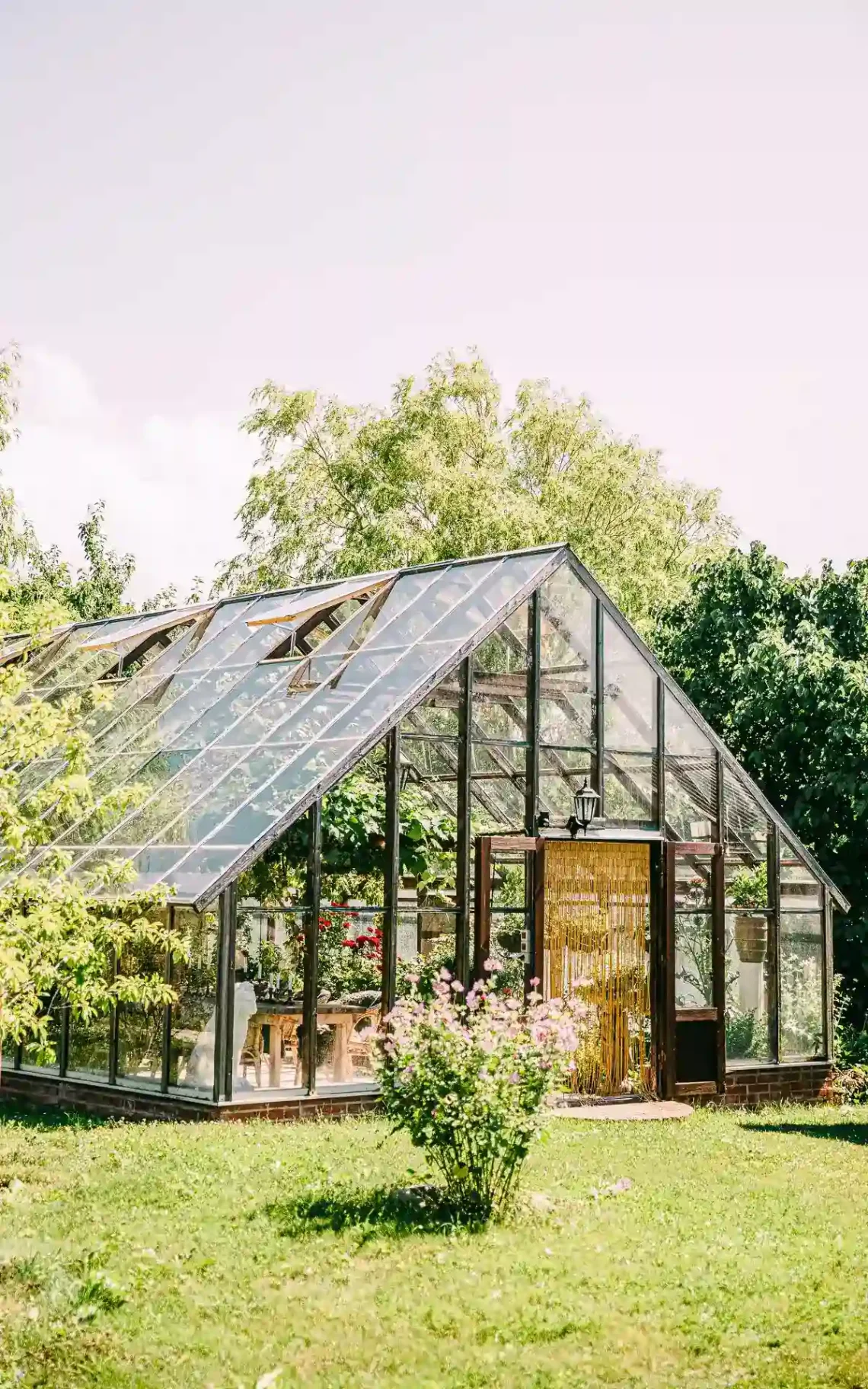 Ingången till Växthuset med glasfront och naturligt ljus, mysig atmosfär