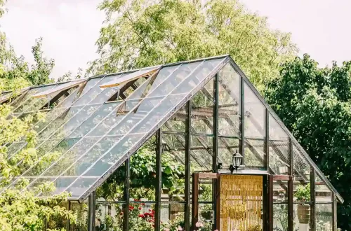 Ingången till Växthuset med glasfront och naturligt ljus, mysig atmosfär