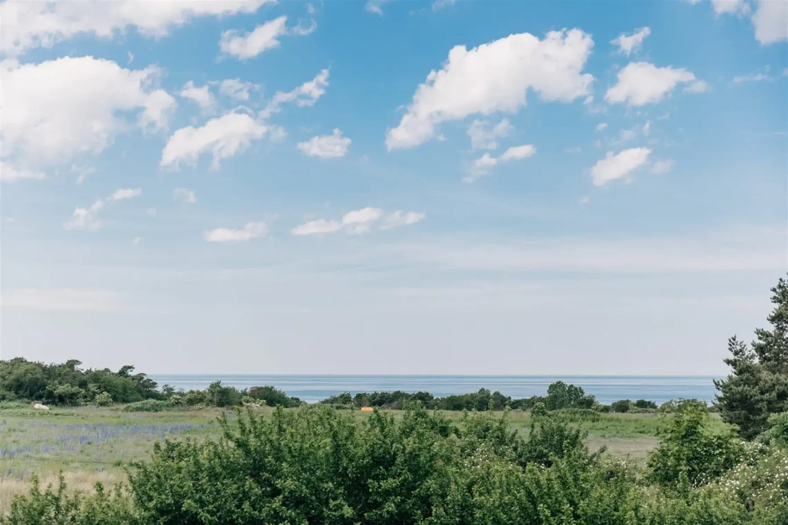 Sea-view-trees-sky-clouds